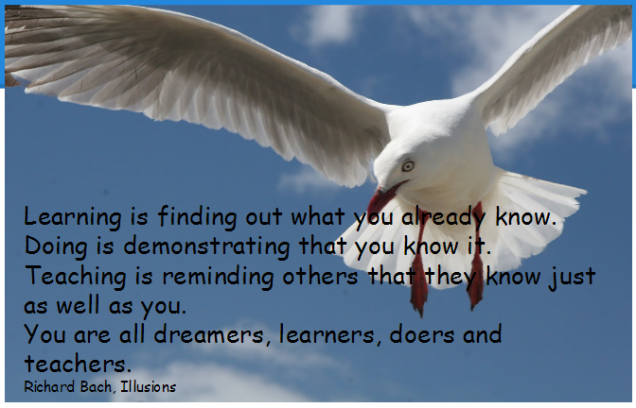 seagull hovering against a clear blue sky with text that saysLearning is finding out what you already know. Doing is demonstrating that you know it. Teaching is reminding others that they know just as well as you. You are all dreamers, learners, doers and teachers. Richard Bach, Illusions